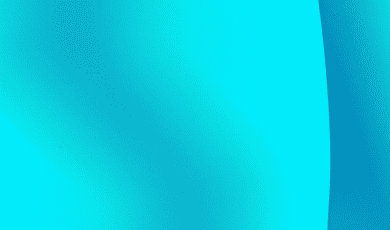 Parcours Linguistiques Et Culturels Pour Etudiants Refugies